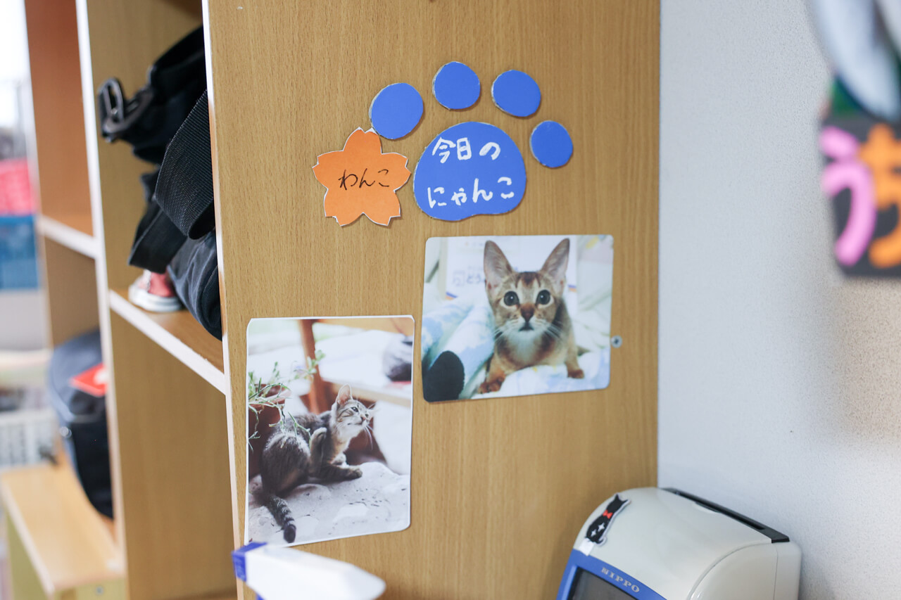 猫の写真が飾られた壁面
